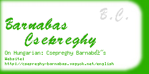 barnabas csepreghy business card